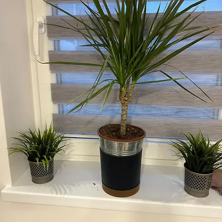 Vista Near Minsk Mazowiecki