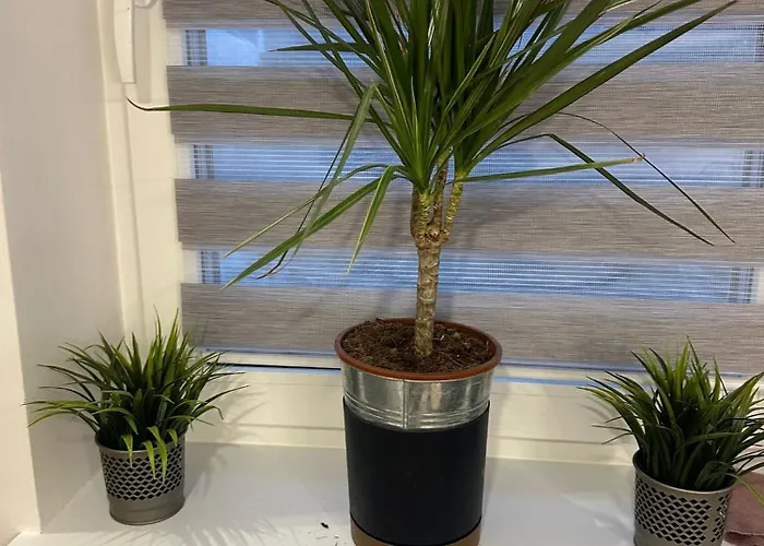 Vista Near Minsk Mazowiecki